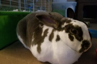 Loafing up after a movie night