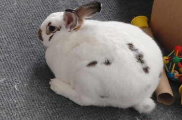 Heidi has mastered the Massive Loaf Technique™