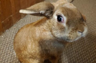 I'm just exploring mom no worries I've got this.