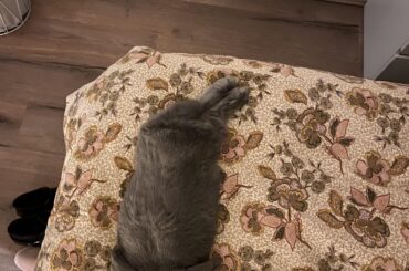 Tuesday night and feelin’ cosy