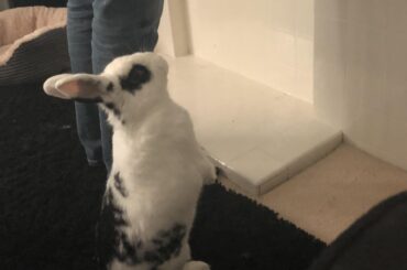 Standing with her human