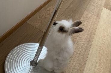 He pole dances to pay rent