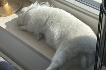 Sleeping beauty