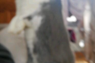 Luna's been practising!