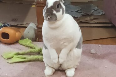 Eddy heard a sound outside