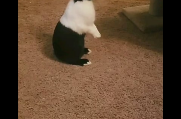 Hey, where'd she go?