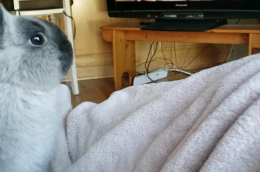 Scrantonicity is his favorite band