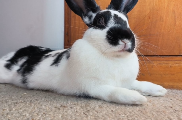 "The Camera loves you!"