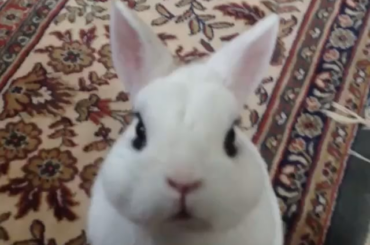 Does this count as standing