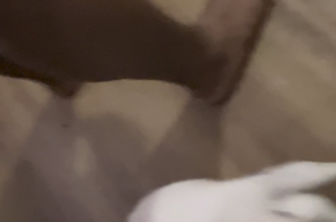 He’s always so curious!