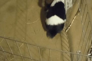 Move... I said! Move!