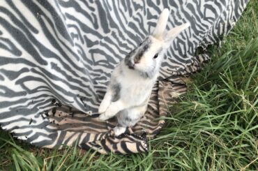 More of Zoe being a stand-up bun