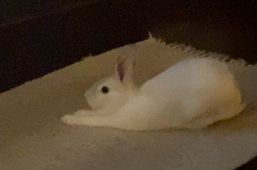 “I got stuck here.”