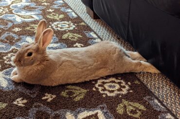 Why do her feet have to be under the couch?