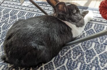 Apparently this is comfortable