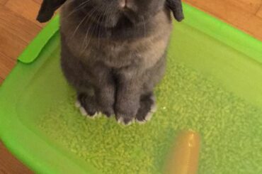 “Got any treats?”