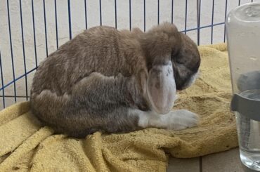 My small boy fully asleep