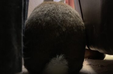 Stand clear loafing zone 👷‍♂️ 🍞