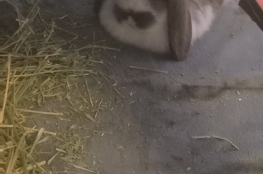 Loafing only to the best jams