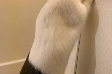 Hmmm what’s over there?