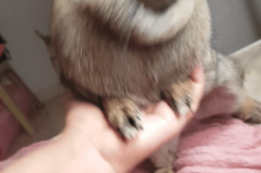 such grace such beauty