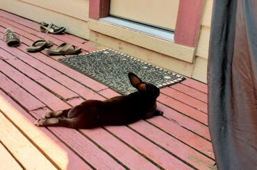 Noodling about in the shade