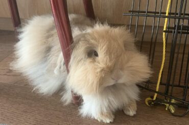 out of all places… squish?