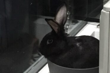 are you talking about comfy ? 🤦‍♀️