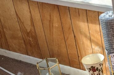 English Angora noodle