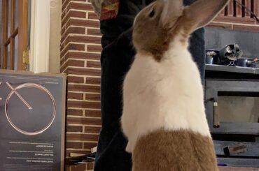 Dat ballast tho 🍑