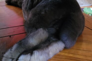 The only butt picks aloud in my phone are fuzzy.