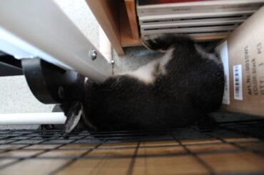 he managed to find the narrowest space possible