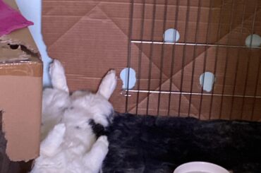 Well, she is one of a kind