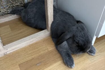 Best spot in the house