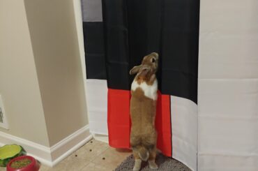 Just checking out the shower nothing to see here