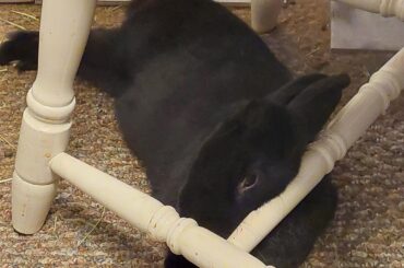 So comfortable