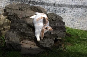 She melted!