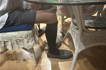 Loaf spotted loafing between my dad’s legs during dinner