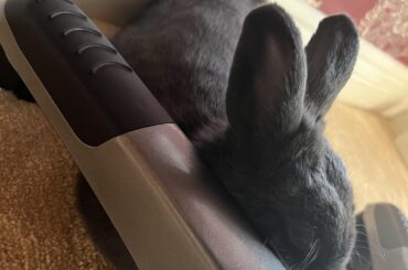 Cheek smoosh