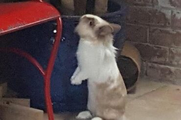 She likes to tend to the plants :)