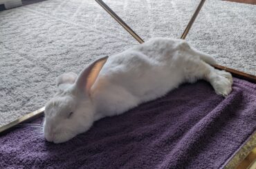 A noodle basking in the sunlight to boost your Saturday.