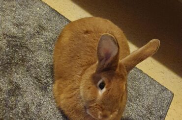 Just wanted to share my own loaf😊