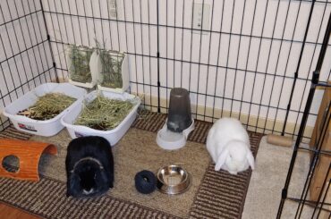 So many carbs in one photo 🍞