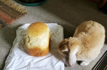 I think this pic has a place in this sub