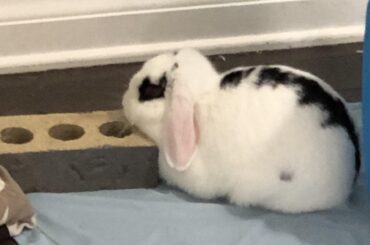 This brick seems comfortable