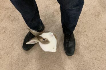 Cuse me sir, this is a check point, anymlem to declare?