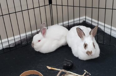 Just loafing around 🍞