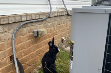 Official facilities inspection