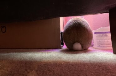 self-packaging loaf 🍞 -> 📦