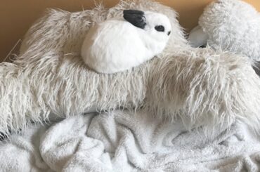 Sick camouflage attempt